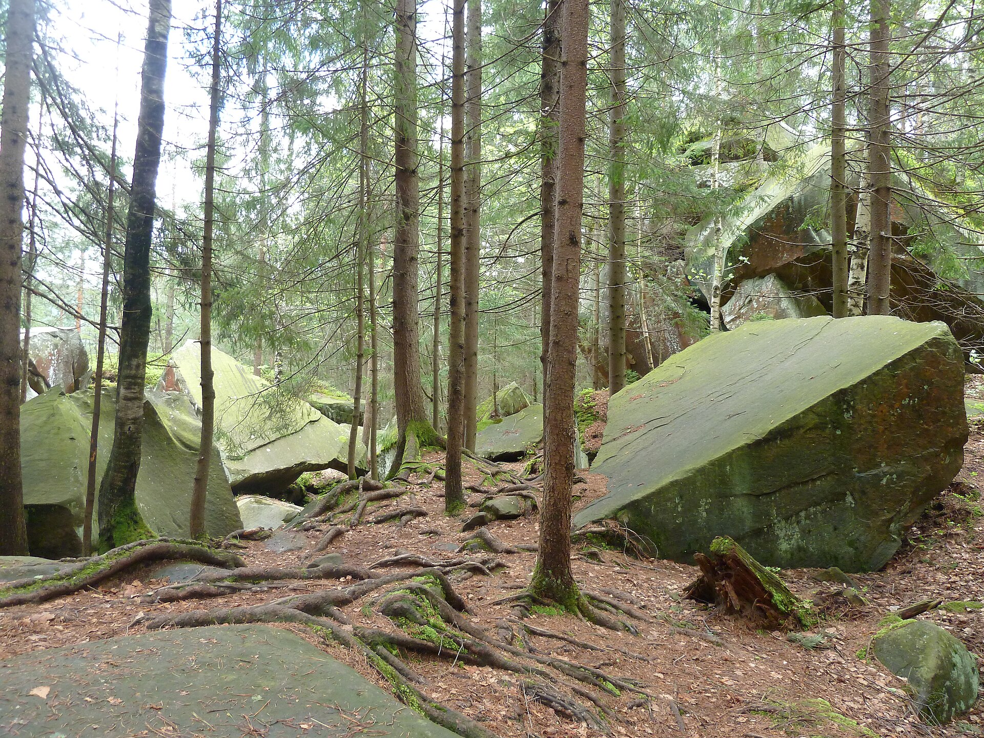Rocks on the Dovbush trail in Yaremche