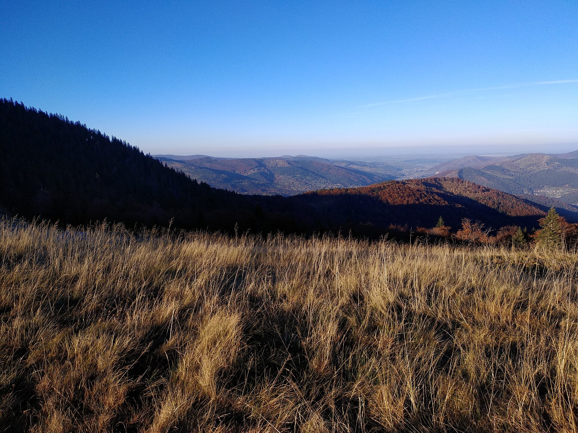 Yavirnyk meadow near Yaremche