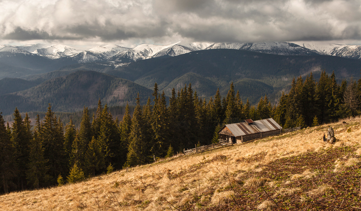 Zakukul meadow