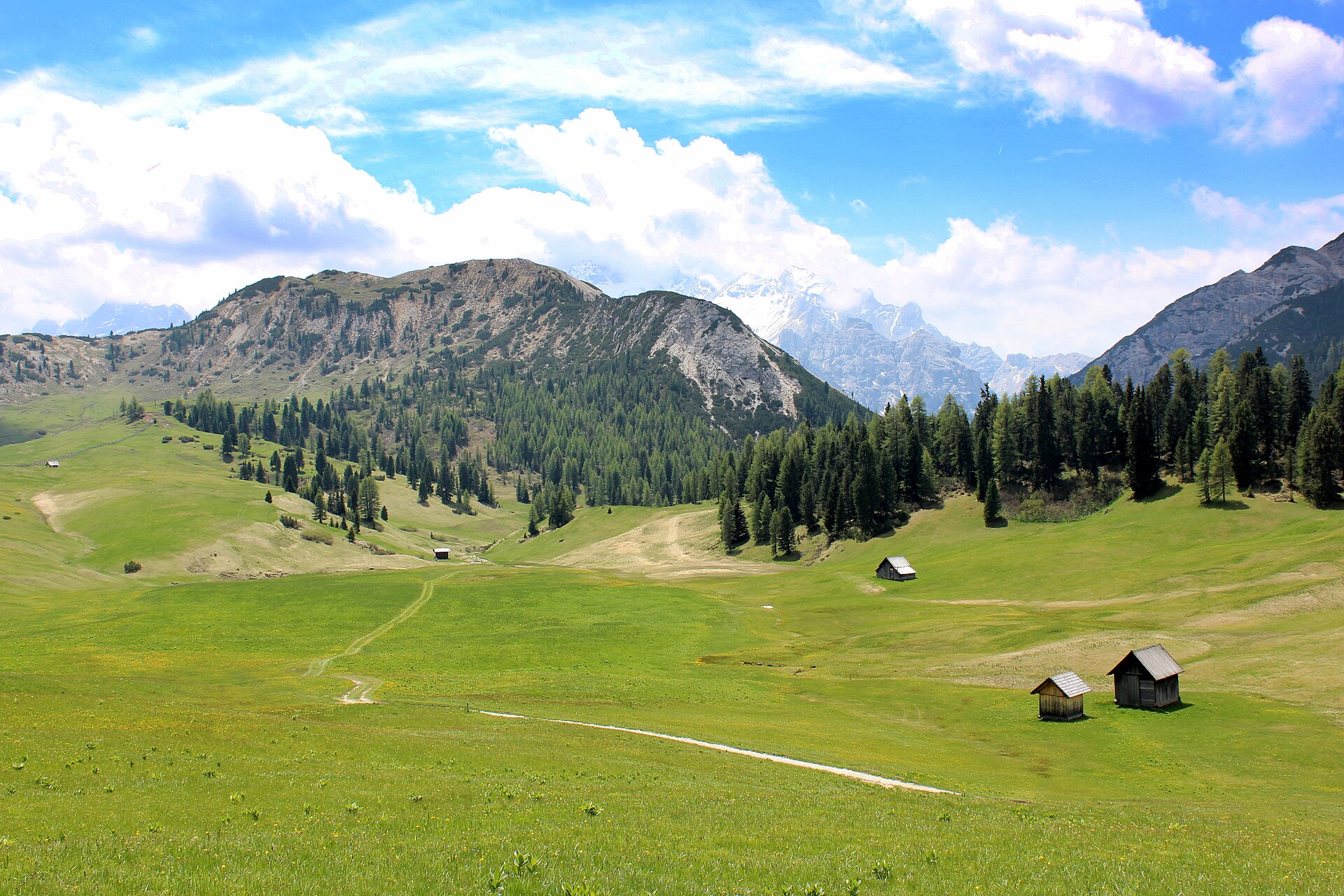 Plätzwiese high plateau