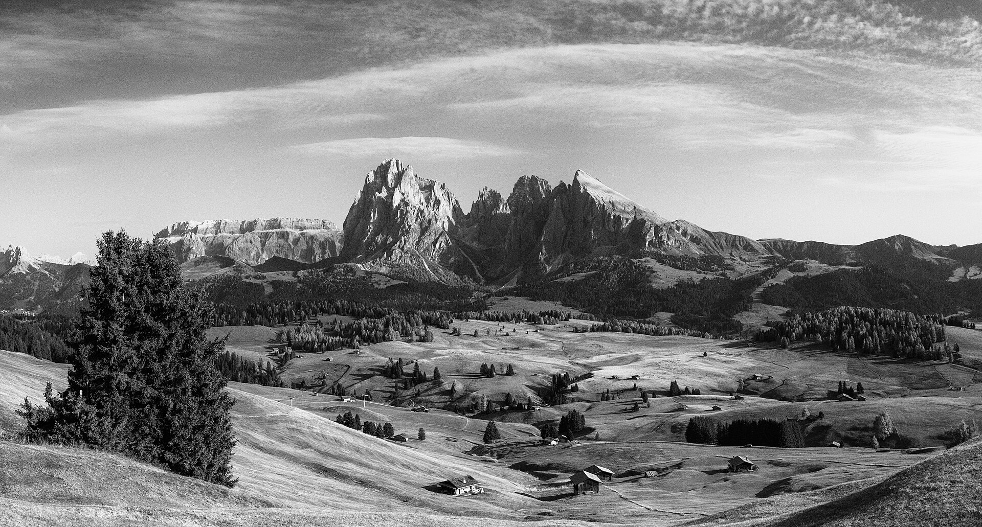 Alpe di Siusi meadows