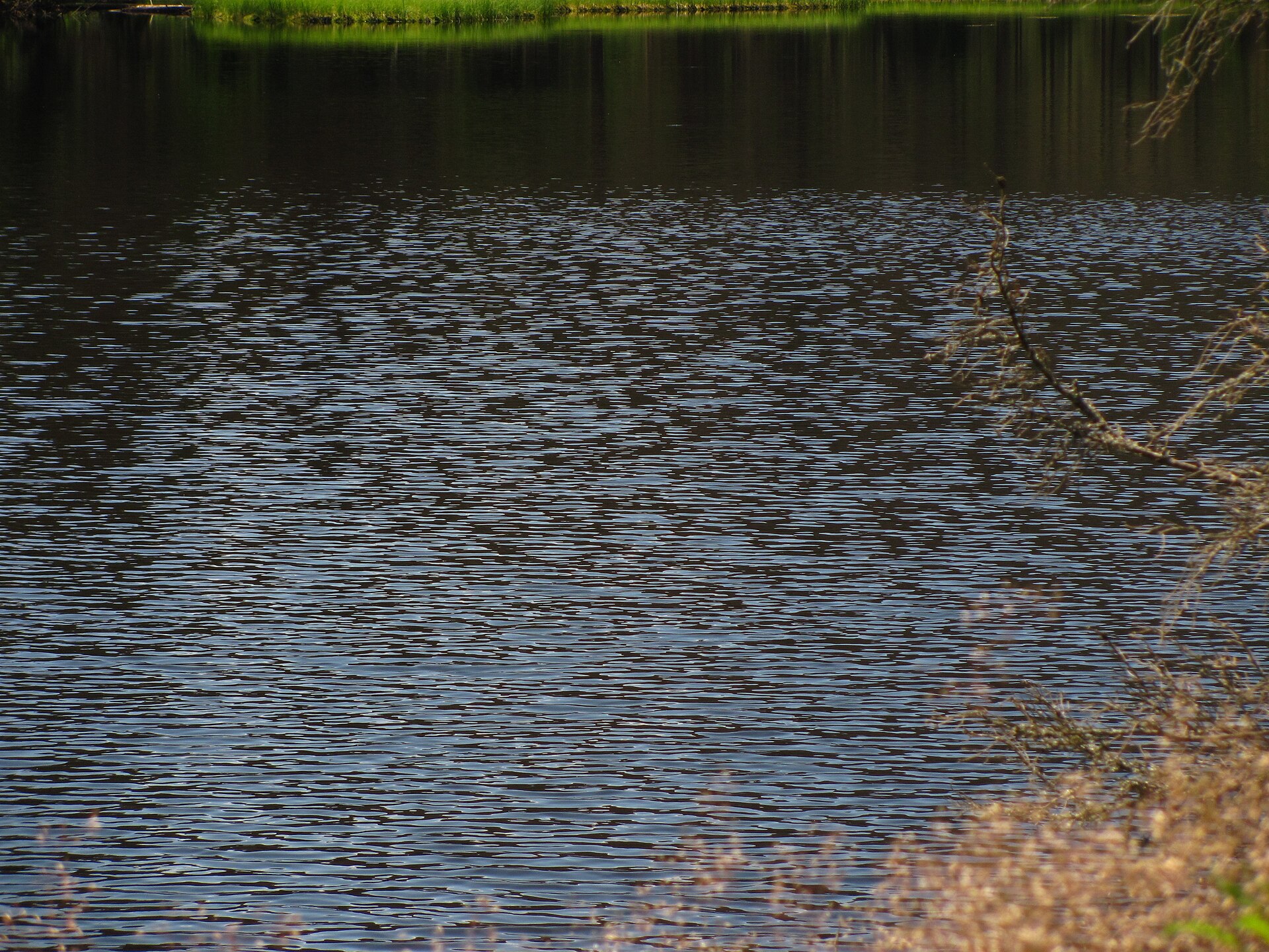 Lake Laka in Šumava